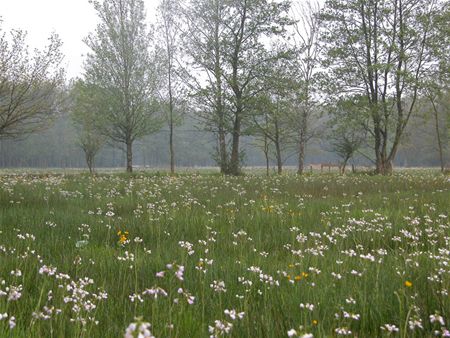 35 ha extra natuurreservaat in Laambeekvallei