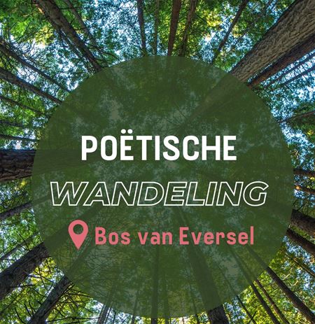 Een poëtische boswandeling in Eversel-bos