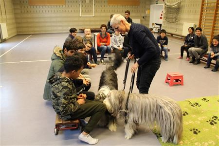 Leerlingen van De Linde leren omgaan met honden