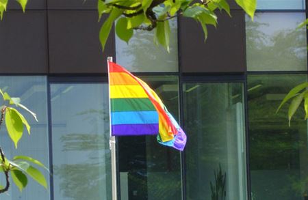 Regenboogvlag wappert aan gemeentehuis
