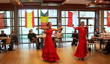 Stomende flamenco op seniorenfeest