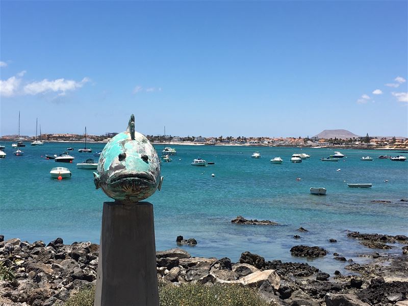 Vakantiegroeten uit Fuerteventura