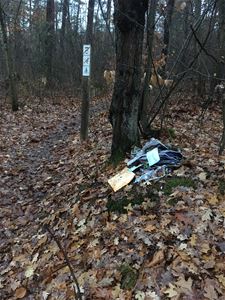 Wandelaars vinden poststukken in bos