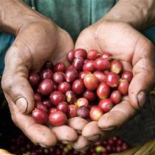 Week van de Fair Trade van start