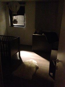 Zebrapadlamp verlicht heel appartement
