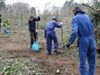 Sint-Jansbos klaar voor boomplantactie
