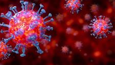 11 nieuwe besmettingen in Heusden-Zolder