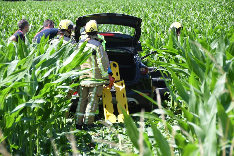 Auto belandt in het maïsveld