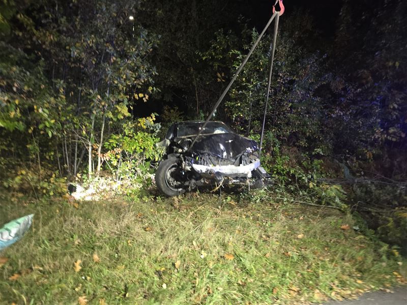 Auto verdwijnt tussen bomen en struikgewas