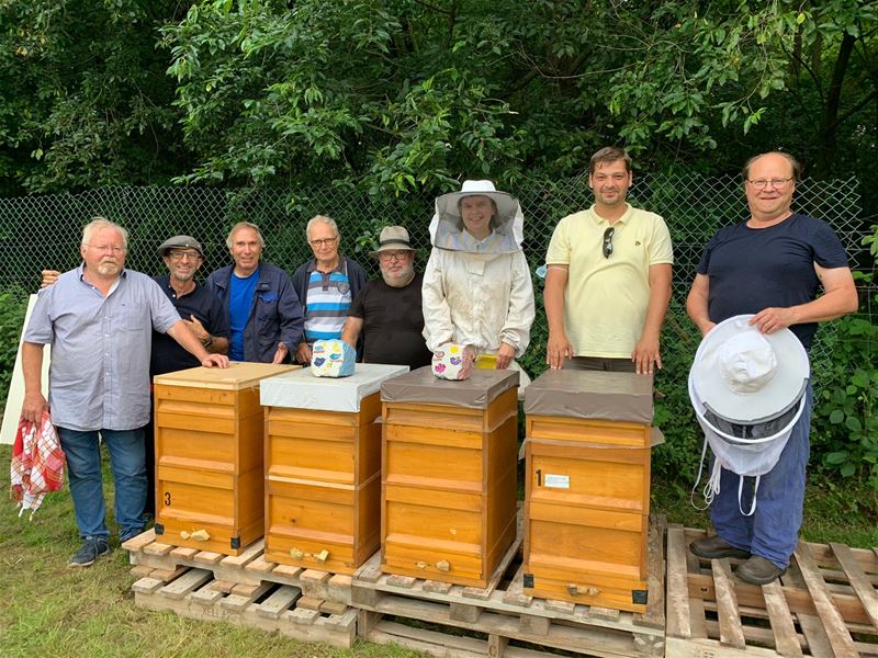 Bijen van Liesbeth krijgen asiel bij dorpstuintjes