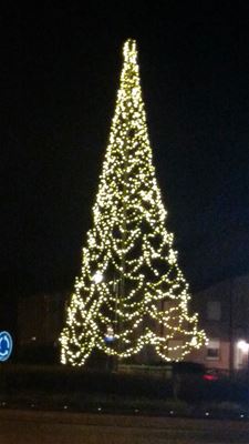 Bolderberg heeft geïmproviseerde kerstboom