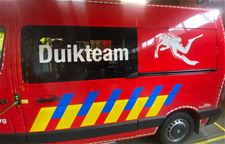 Brandweer redt everzwijn van verdrinking