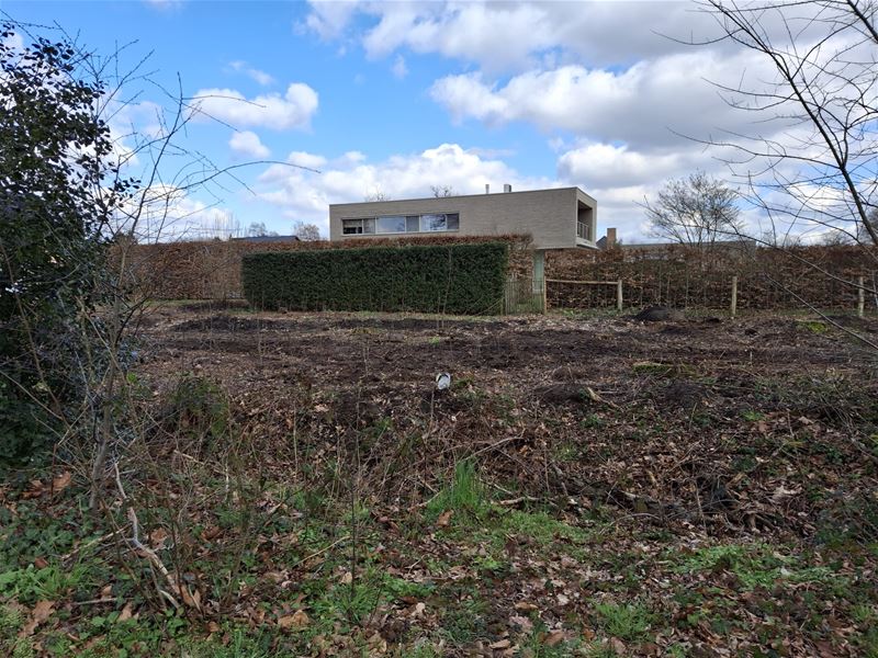 Buurt is boos over 'kaalkap' in De Drij Dreven