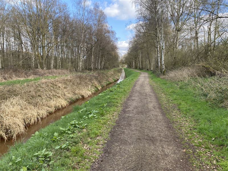 Centrale rol voor de Mangelbeek in De Wijers