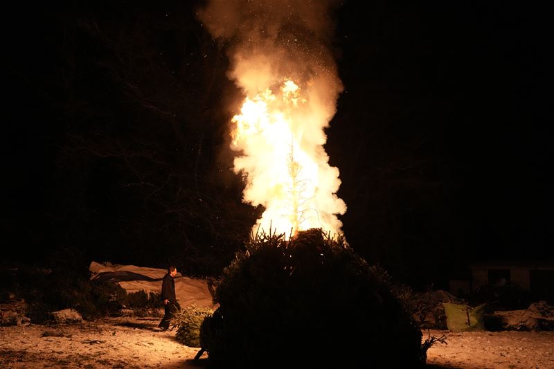 De kerstbomen brandden vlot in de vrieskou