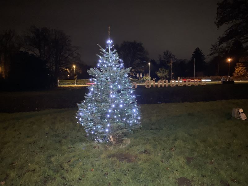 De lichtjes in de kerstboom branden