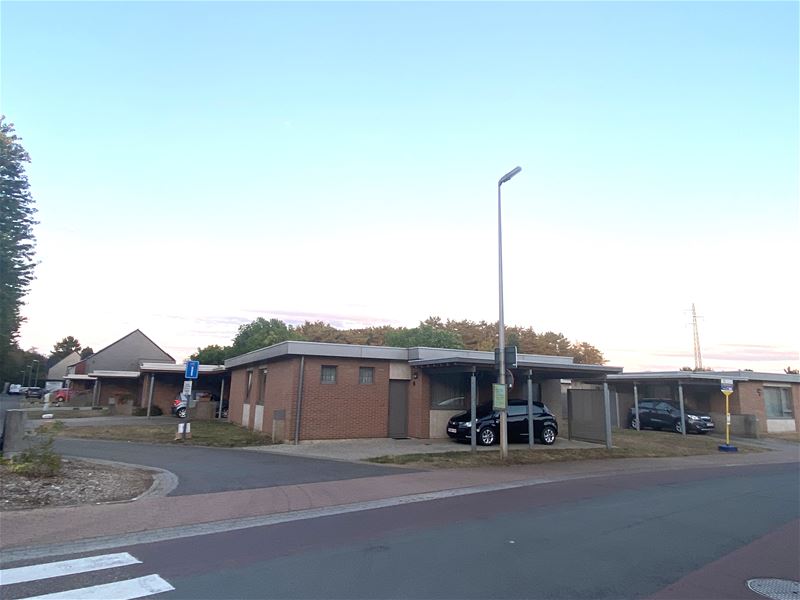 De Rijzillen nog dit jaar naar 'Wonen in Limburg'