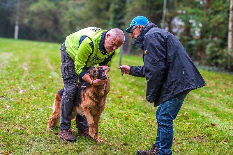 Duitse herders werden grondig gekeurd