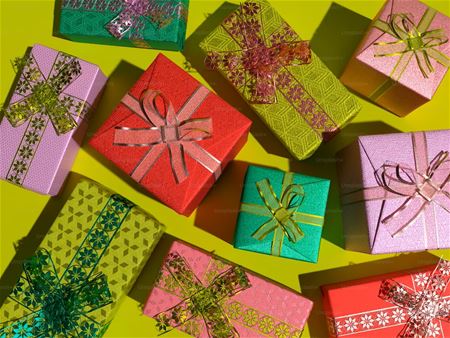 Eindejaarswedstrijd: klaar voor de start