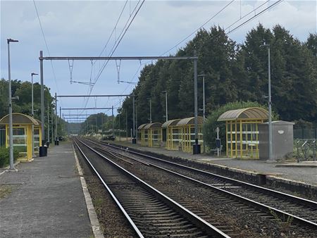 Vandaag geen treinen, online lessen in SFC