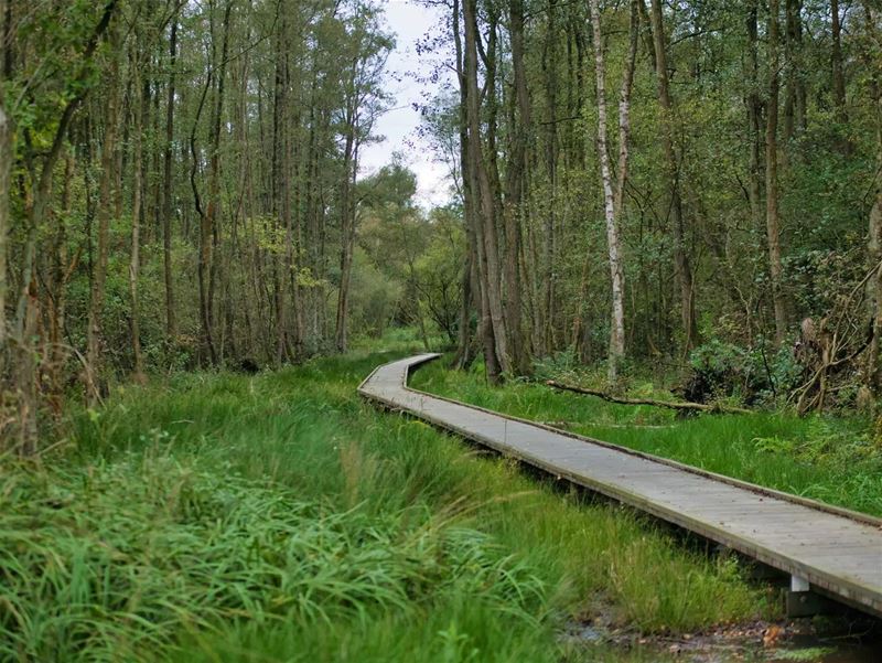 Fietsen op trage weken: Door 't Stuk