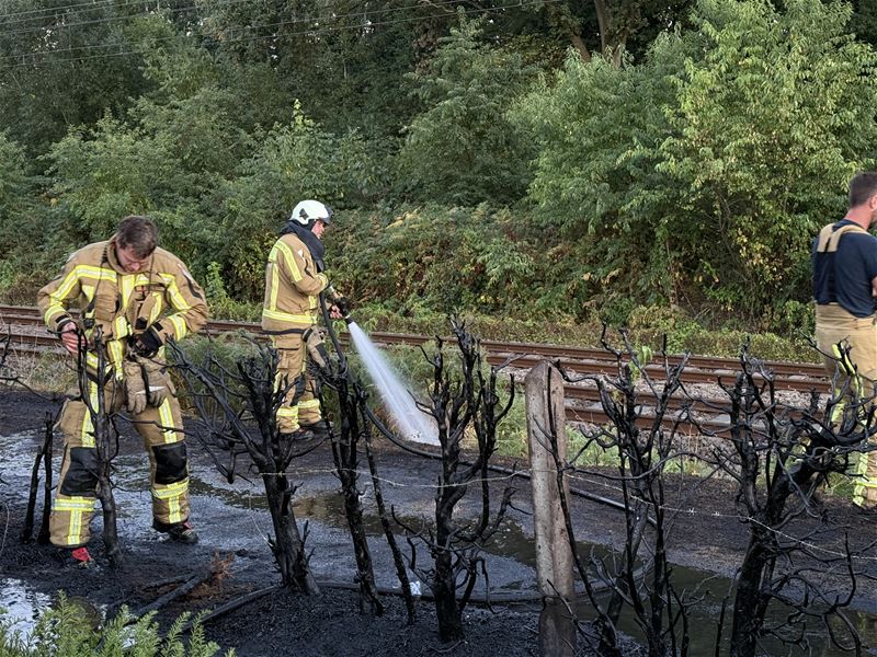 Gras- en haagbrand tot aan spoor in Gompartsstraat