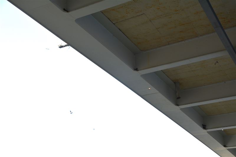 Grote zwaluwpopulatie huist aan brug Viversel