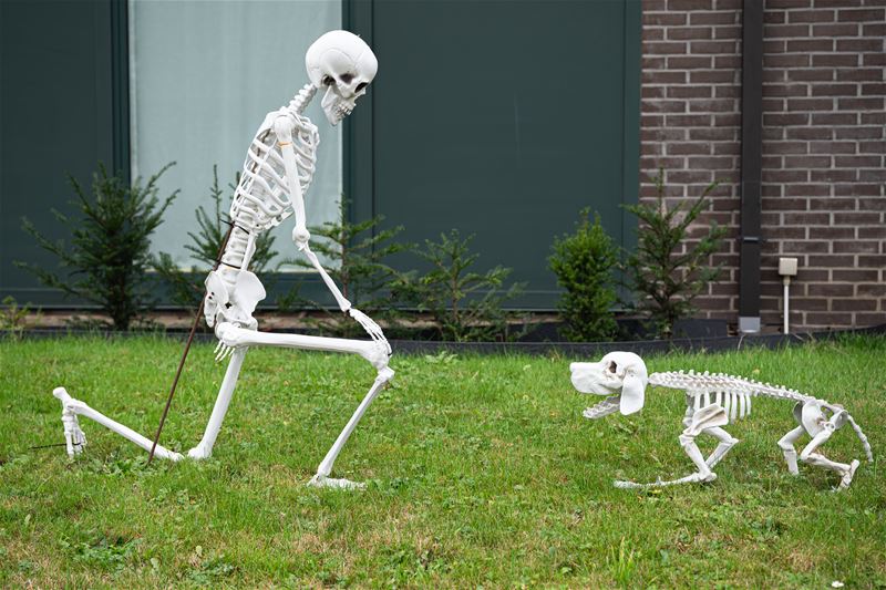 Halloween langs de straten