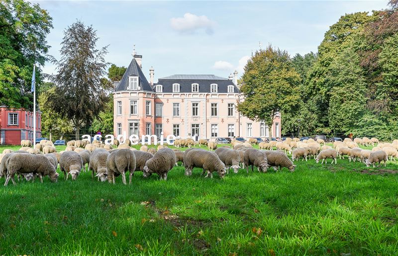 Herders: idylische job met veel zorgen