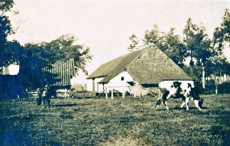 Het oude boerenleven in Heusden (1)
