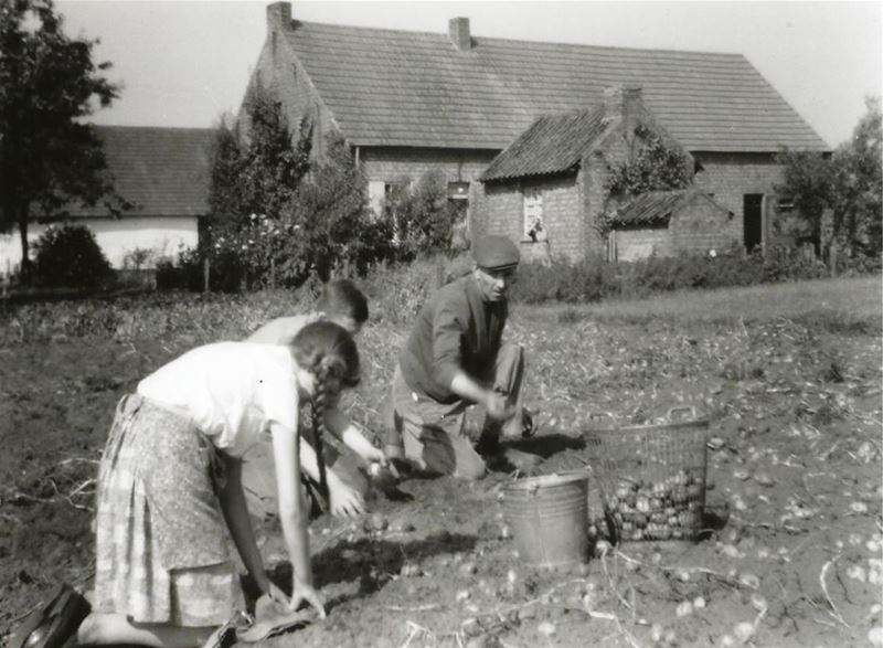 Het oude boerenleven in Heusden (3)
