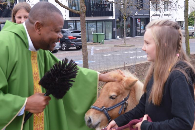 Honden, paarden en pony's gezegend in Zolder