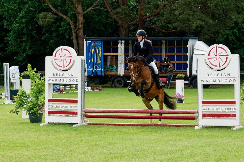 Jonge paarden en pony's zaterdag in Hemelrijk