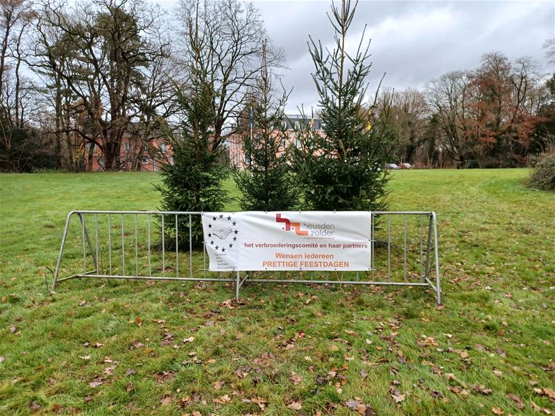 Kerstbomen van Verbroederingscomité zijn geplant