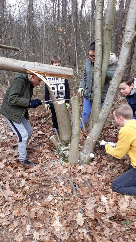 Leerlingen helpen in het bos