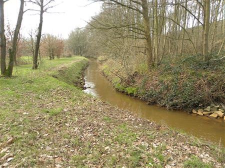 Limburgs Landschap koopt 67 ha in Laambeekvallei