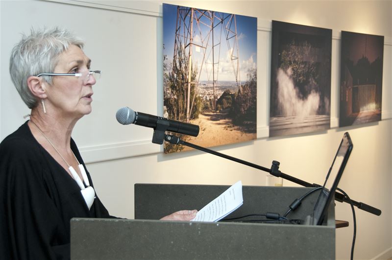 Lut Maris van galerij De Mijlpaal is overleden