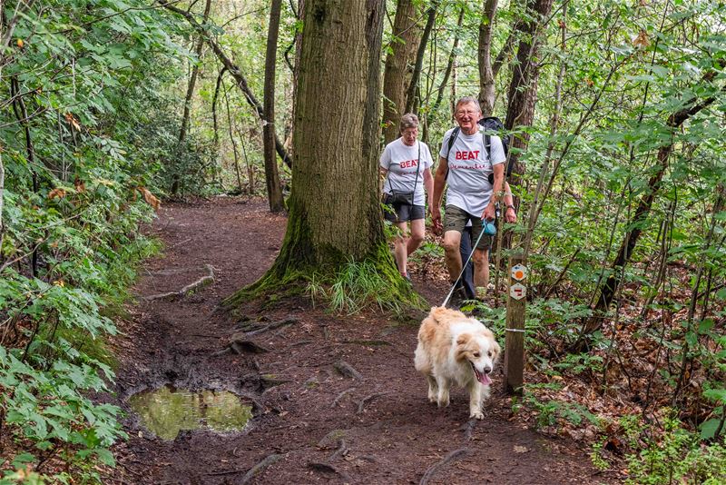 Meer dan 650 wandelaars tegen dementie