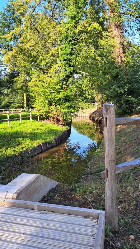Morgen waterwandeling op Domein Bovy