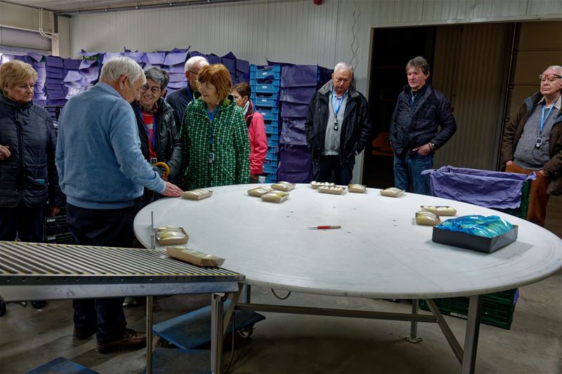 Neos-leden zijn in de ban van het witloof