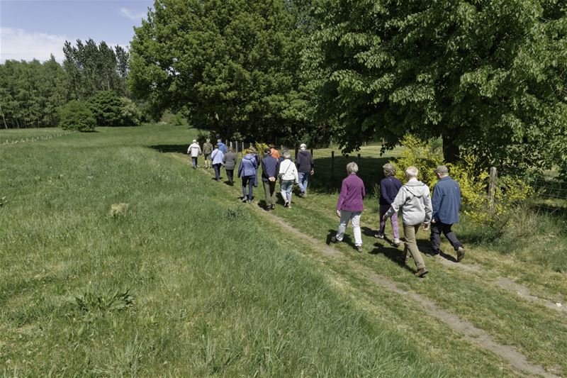Neos op wandel in Mangelbeekvallei in Laak