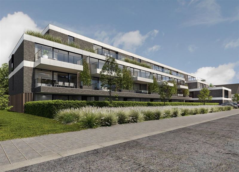 Nieuw project met 29 appartementen in De Hoeven