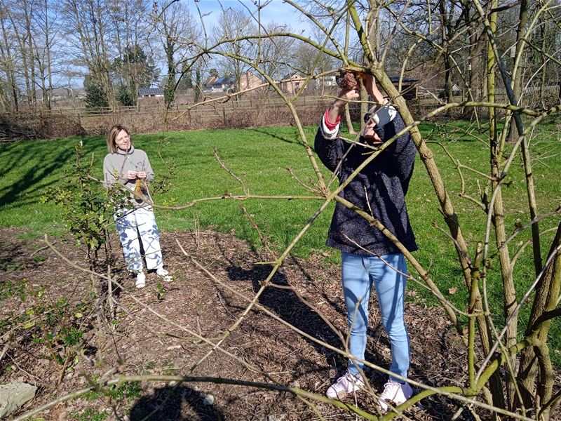 Ook gevederde werkkrachten welkom in dorpstuintjes