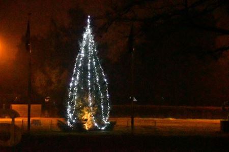 Op 3 december wordt kerstboom op Meylandt verlicht