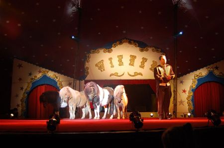 Oudste circus komt naar Heusden