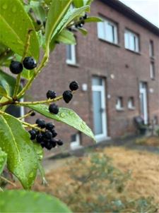 Over 10 dagen opent Artikel 27 in de wijk Lindeman