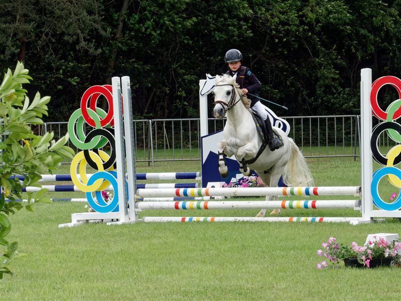 Paarden en pony's springen in een mooi decor