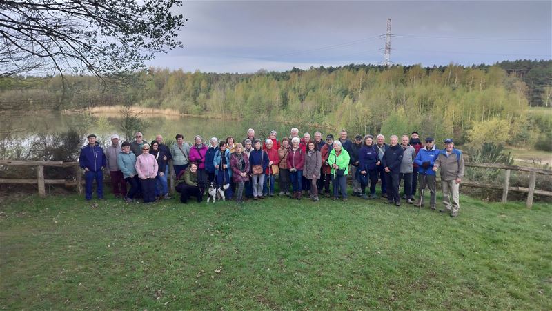 Pasar op dauwwandeling op de heide in Zutendaal