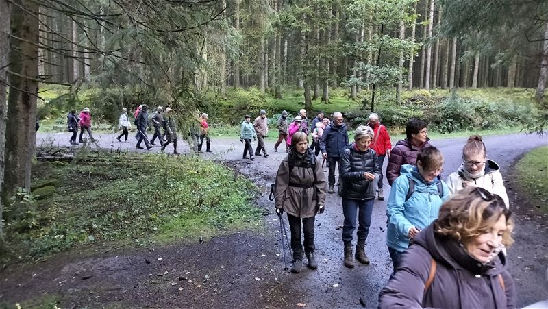 Pasarleden op herfstwandeling in de Ardennen