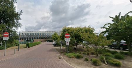 Pleinen krijgen meer groen en bloemen